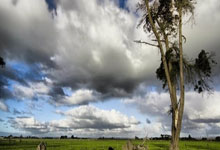 雷火电竞官方-蒙特卡洛大师赛力克温网，鲁德点燃赛场