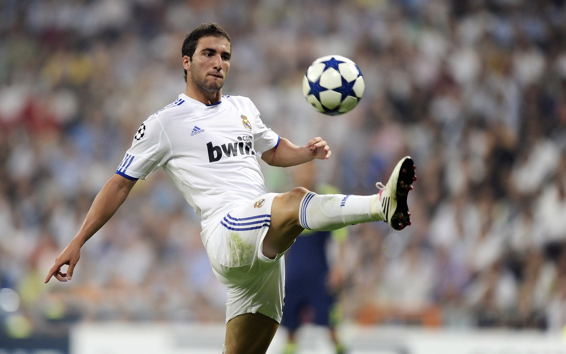 当孙兴慜存在感拉满，比利时速胜安哥拉—绿茵场上的个体光芒与整体碾压