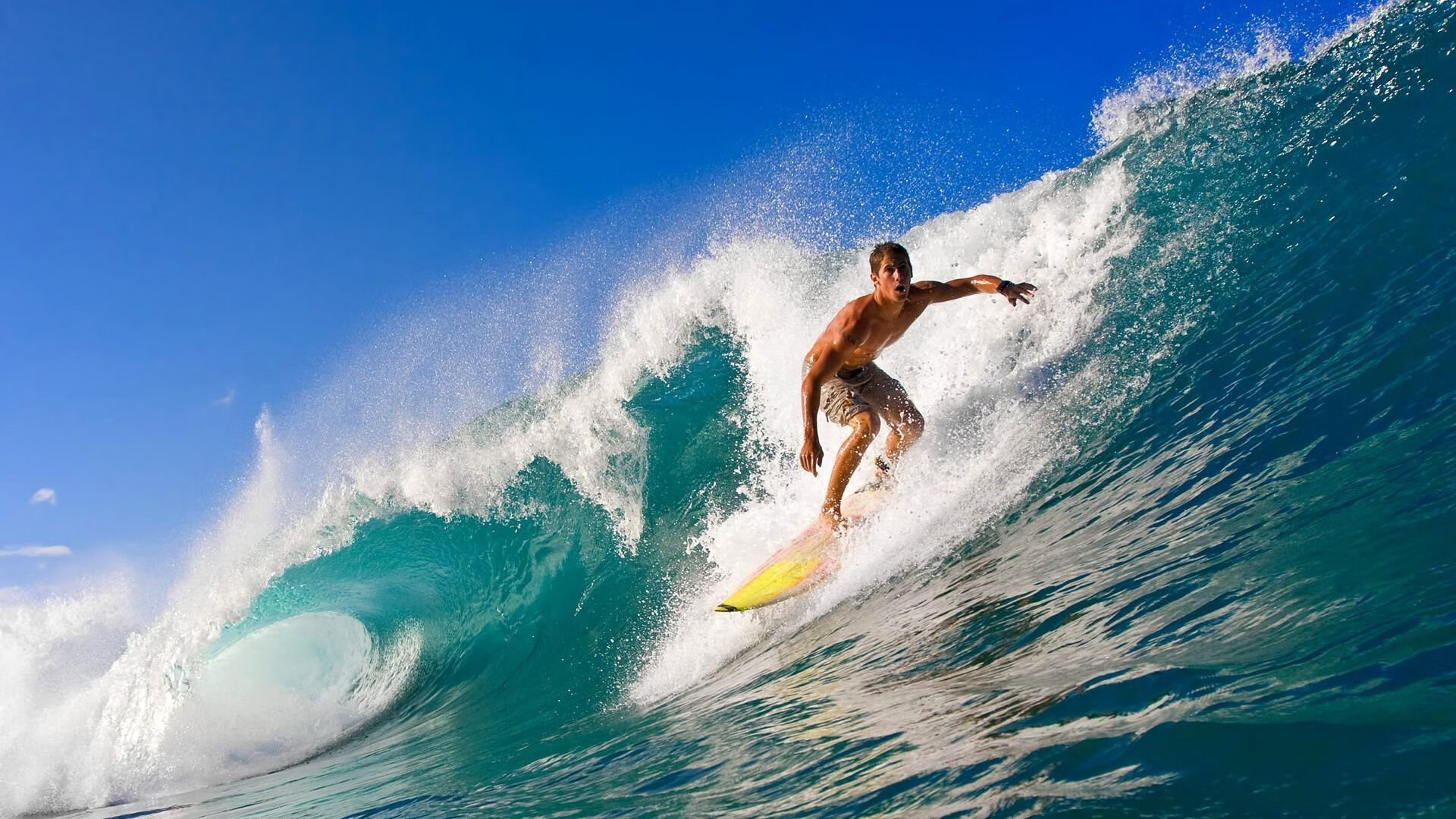 凯塞多爆发！阿尔及利亚击败葡萄牙，北非之鹰改写历史的一夜