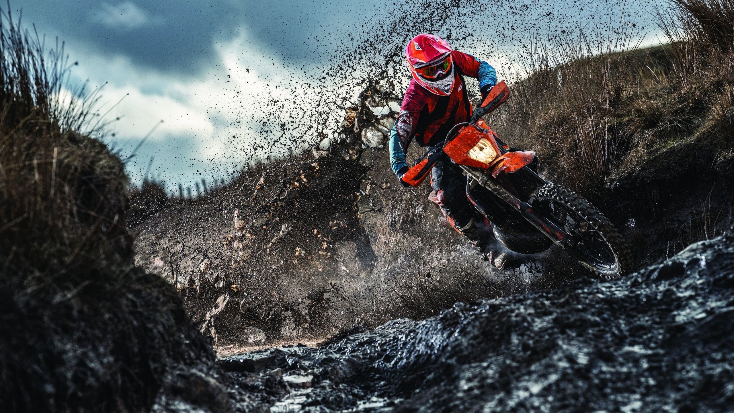 世界排名争夺战之夜,伊布彻底打爆防线